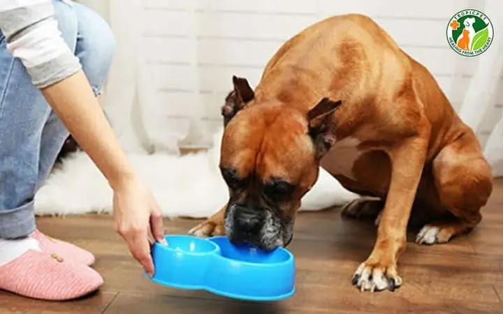 Một Số Cách Khác