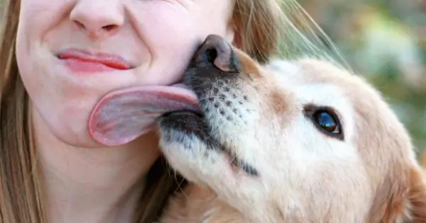 Tại Sao Chó Lại Nhảy Lên Khi Gặp Chủ