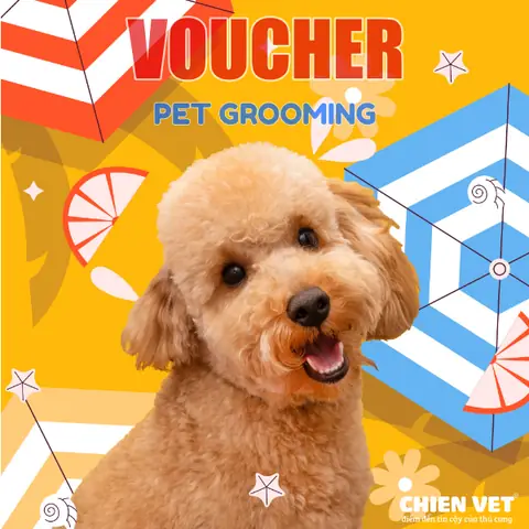 Tắm Chó Bao Nhiêu Tiền Tắm Chó Bao Nhiêu Tiền