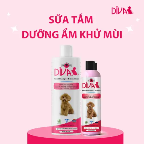 Chó Mẹ Sau Khi Sinh Con Có Được Tắm Không?