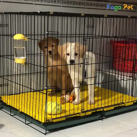 Hướng Dẫn Cách Sử Dụng Tấm Lót Sàn Chuồng Chó