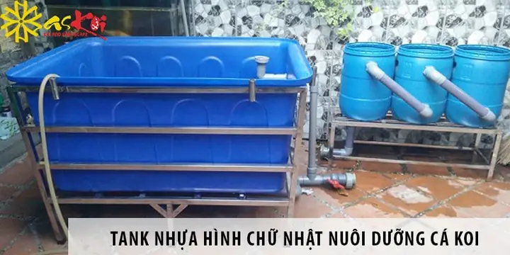 Tank Composite Nuôi Cá Koi: Lựa Chọn Hiện Đại Cho Hồ Cá Cảnh