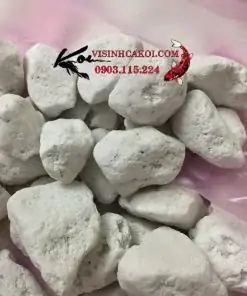 Nham Thạch Trắng - Đá Lông Vũ Lọc Nước Hồ Koi