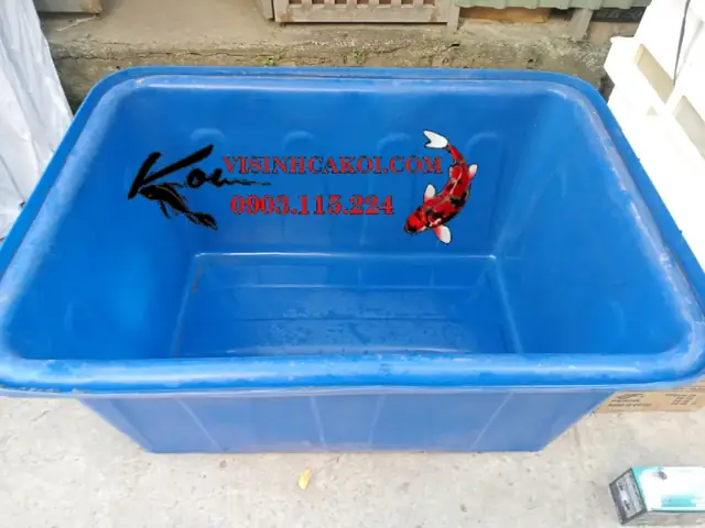 Bộ Tank Dưỡng Cá Koi Bao Gồm Những Gì ?