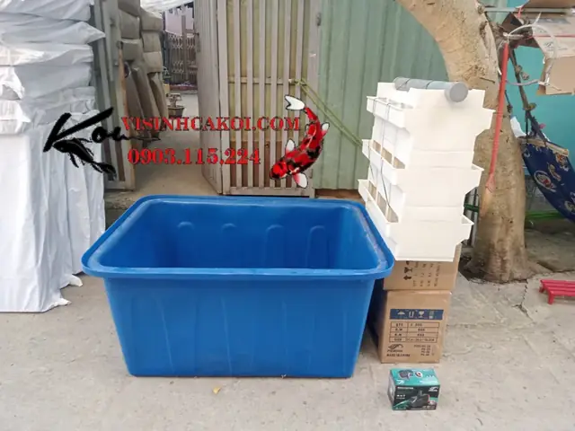 Bộ Tank Dưỡng Cá Koi Bao Gồm Những Gì ?