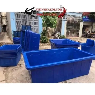 Các Thông Số Kích Thước Tank Nhựa Chữ Nhật Nuôi Cá Koi