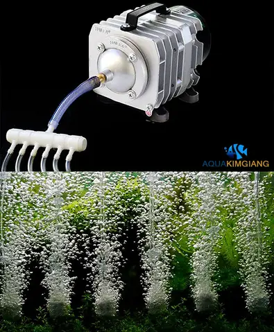 Giới Thiệu Máy Sủi Khí Hailea Aco 328