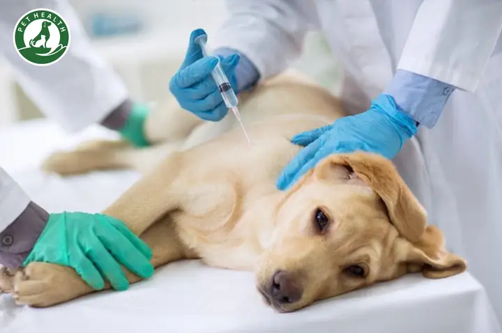 Vaccine Cho Thú Cưng