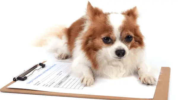 Theo Dõi Sau Khi Dùng Thuốc Theo Dõi Sau Khi Dùng Thuốc