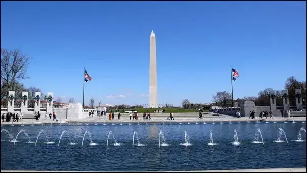 Tên Chú Chó Cứu Hộ: Khi Những Người Bạn Bốn Chân Trở Thành Anh Hùng