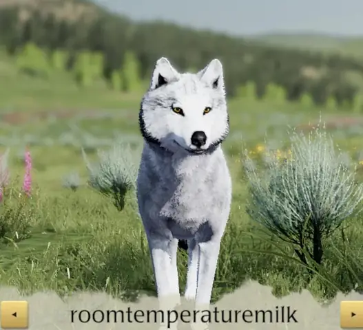 Tên Gọi Khác Của Chó: Những Cái Tên Thú Vị Và Ý Nghĩa Từ Khoa Học Đến Dân Gian Tên Gọi Khác Của Chó: Những Cái Tên Thú Vị Và Ý Nghĩa Từ Khoa Học Đến Dân Gian