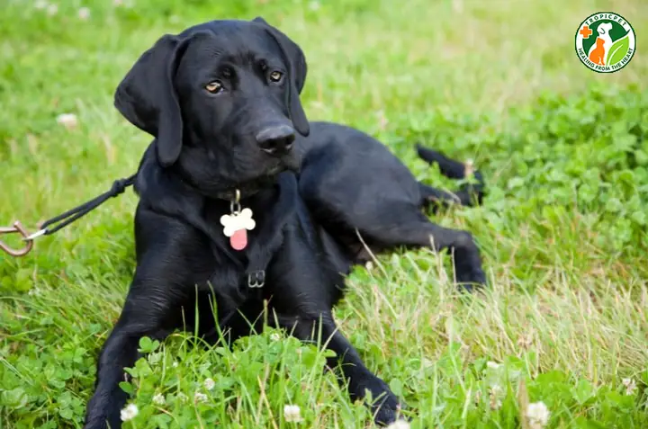 Chọn Tên Ngắn Gọn, Dễ Nhớ