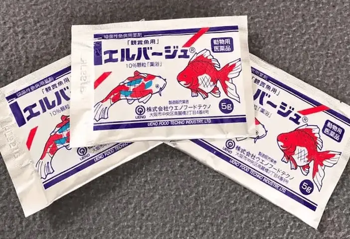 Hướng Dẫn Chi Tiết Cách Dùng Tetracyclin Cho Cá Bảy Màu An Toàn Và Hiệu Quả