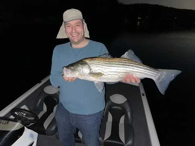 Thả Cá Tiếng Anh Là Gì? Cách Diễn Đạt Tự Nhiên Trong Từng Ngữ Cảnh Thả Cá Tiếng Anh Là Gì? Cách Diễn Đạt Tự Nhiên Trong Từng Ngữ Cảnh