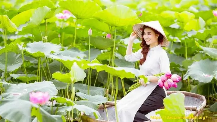 Đồng Sen Tháp Mười (đồng Tháp): Vẻ Đẹp Trong Thơ Ca Đồng Sen Tháp Mười (đồng Tháp): Vẻ Đẹp Trong Thơ Ca