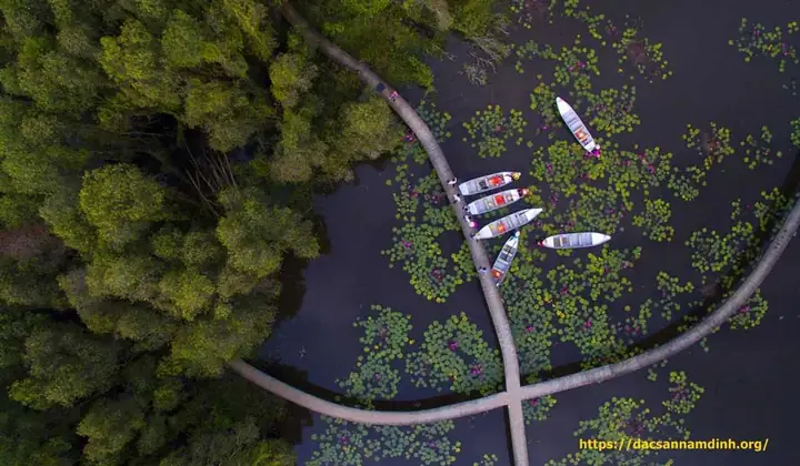 Làng Nổi Tân Lập (long An): Khu Rừng Ngập Nước Độc Đáo Làng Nổi Tân Lập (long An): Khu Rừng Ngập Nước Độc Đáo