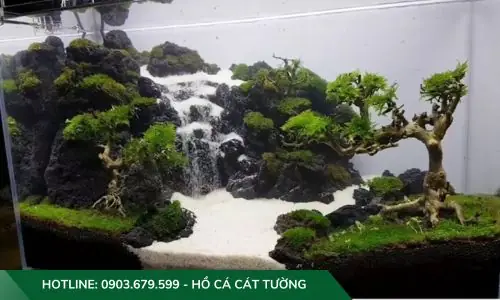 Đảm Bảo Điều Kiện Môi Trường Thích Hợp Cho Cá Và Sinh Vật Thuỷ Sinh