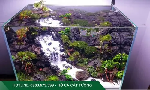 Quản Lý Thức Ăn Và Chế Độ Dinh Dưỡng Cho Cá Và Sinh Vật Thuỷ Sinh