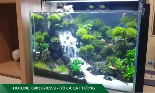 Mục Đích Của Việc Thiết Kế Hồ Cá Thuỷ Sinh Với Thác Cát