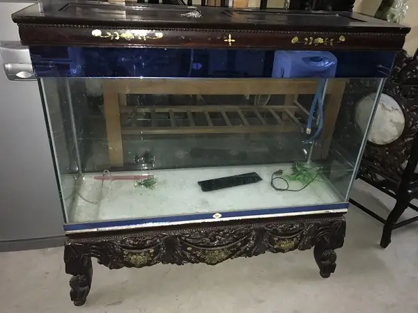 Thanh Lý Bể Cá Giá Rẻ: Kinh Nghiệm Lựa Chọn Và Địa Chỉ Uy Tín Tại Tp.hcm