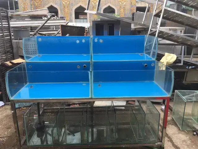 Tại Sao Nhu Cầu Thanh Lý Bể Cá Ở Hà Nội Lại Tăng Cao?