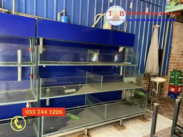 Kinh Nghiệm Thanh Lý Bể Cá Ở Hà Nội Được Giá Và Nhanh Chóng