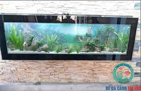 Lưu Ý Đến Chất Lượng Của Hệ Thống Máy Bên Trong Bể Cá