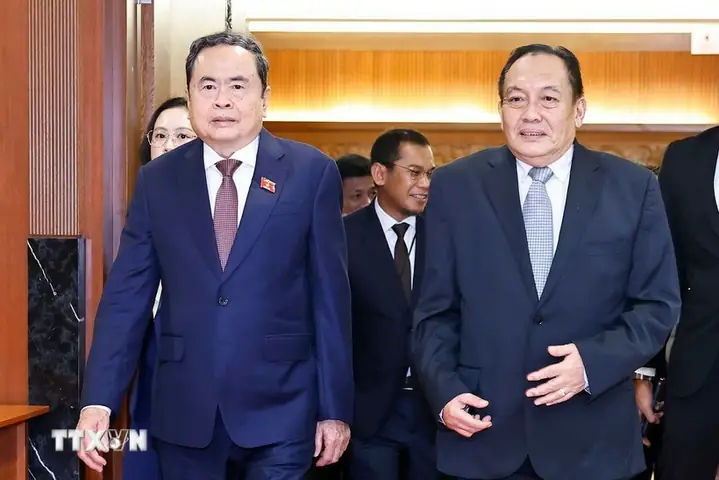 Thanh Lý Cá Ali: Kinh Nghiệm Chọn Mua Và Bảo Quản Cá Alibaba Giá Rẻ