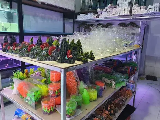 Cửa Hàng Cá Cảnh Thành Nam