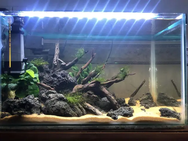 Thu Mua Hồ Cá Cũ Thanh Lý Giá Cao Tại Đà Nẵng - Thu Mua Đồ ...