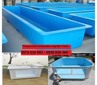 Thanh Lý Hồ Cá Giá Rẻ: Bí Quyết Mua Bán Thông Minh, Tiết Kiệm Chi Phí