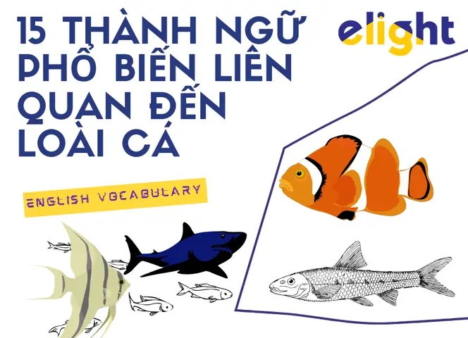 Thành Ngữ Về Cá Thành Ngữ Về Cá
