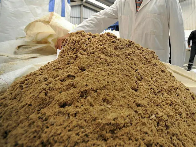 Công Dụng Của Bột Cá Trong Chăn Nuôi