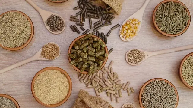 Vai Trò Của Thành Phần Dinh Dưỡng Của Thức Ăn Chăn Nuôi