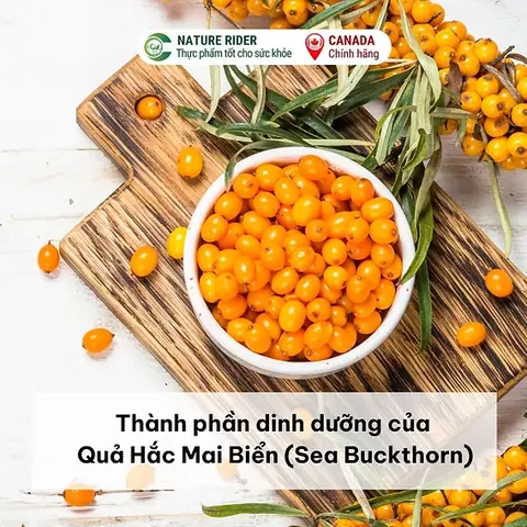 Thành Phần Dinh Dưỡng Của Cá Cam: Giá Trị Sức Khỏe Và Cách Sử Dụng Hiệu Quả