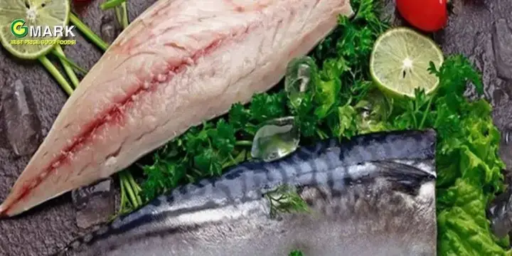 Cá Saba Là Gì? Đặc Điểm Và Nguồn Gốc