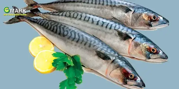 Các Thành Phần Dinh Dưỡng Chính Trong Cá Saba