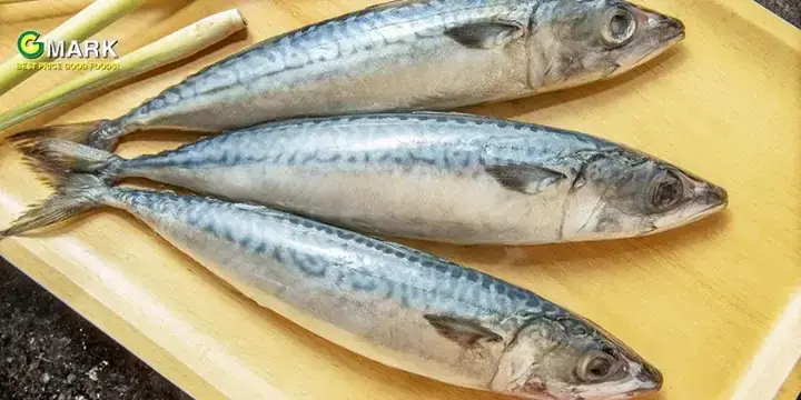 Lợi Ích Sức Khỏe Từ Cá Saba