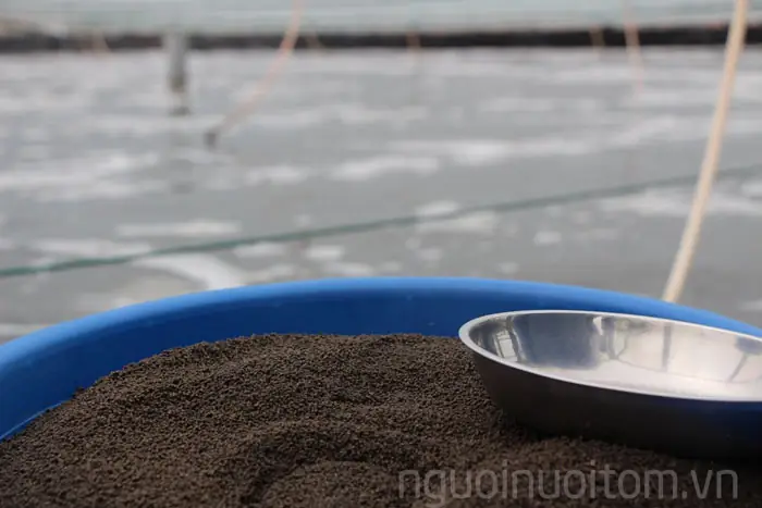 Thành Phần Hóa Học Của Bột Cá