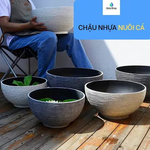 Chậu Nhựa Nuôi Cá Cao Cấp Truyền Thống Notashop