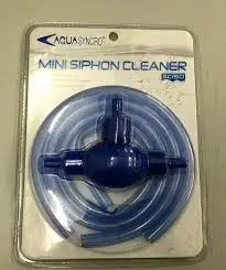 Bước 2: Làm Sạch Những Dụng Cụ Để Thay Nước Bể Cá Koi