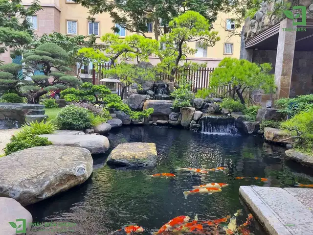 Báo Giá Thi Công Hồ Cá Koi Mới Nhất