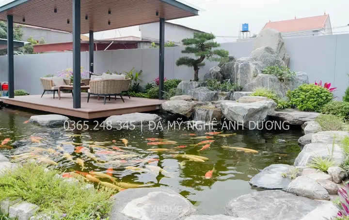 Thi Công Hồ Cá Koi Hải Dương