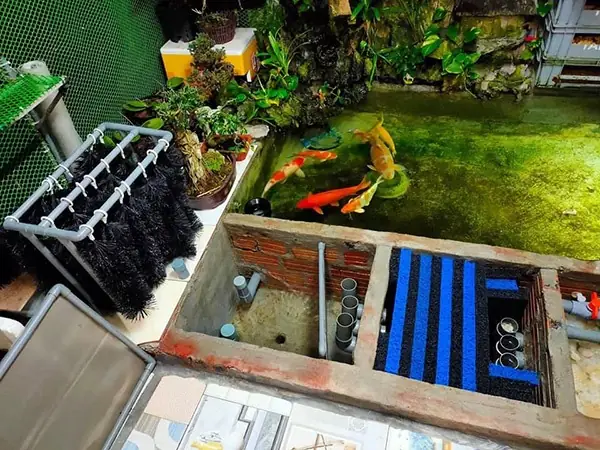 Hoa Thịnh Phát Cung Cấp Các Loại Thiết Bị Lọc Hồ Cá Koi