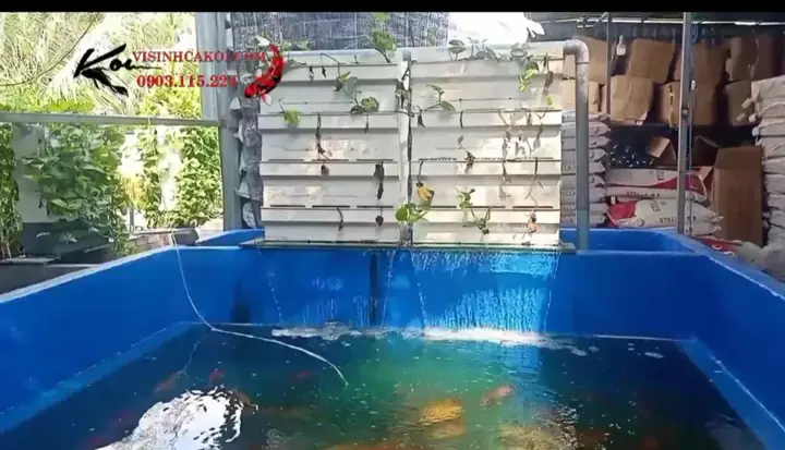 Những Thiết Bị Cơ Bản Dành Cho Hồ Cá Koi Mới Xây