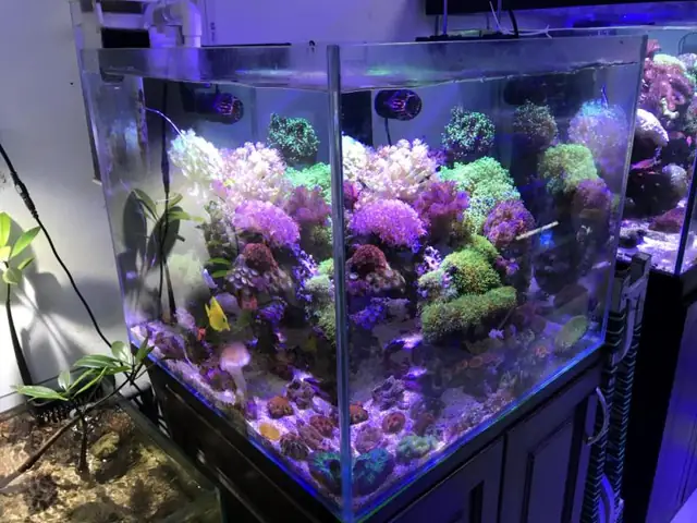 Thích Nghi Với Điều Kiện Nước