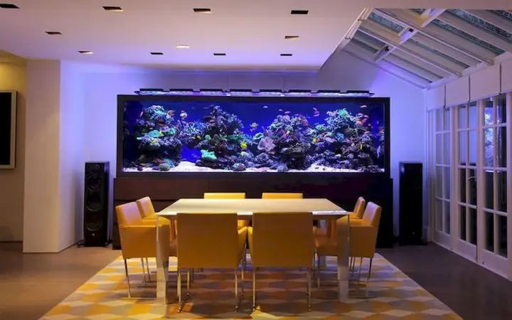 Hồ Cá Biển Lâm Kim Chi