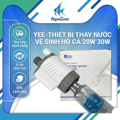 Hướng Dẫn Chọn Mua Thiết Bị Hồ Cá Tại Tphcm: Từ A-z Cho Người Mới Bắt Đầu