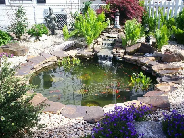 "artistic Koi Pond Design" Và Cá Nhân Hóa Đến Tột Độ