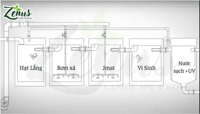 Cẩm Nang Thiết Kế Bể Lọc Cá Koi Chuẩn Kỹ Thuật Cho Người Mới Bắt Đầu
